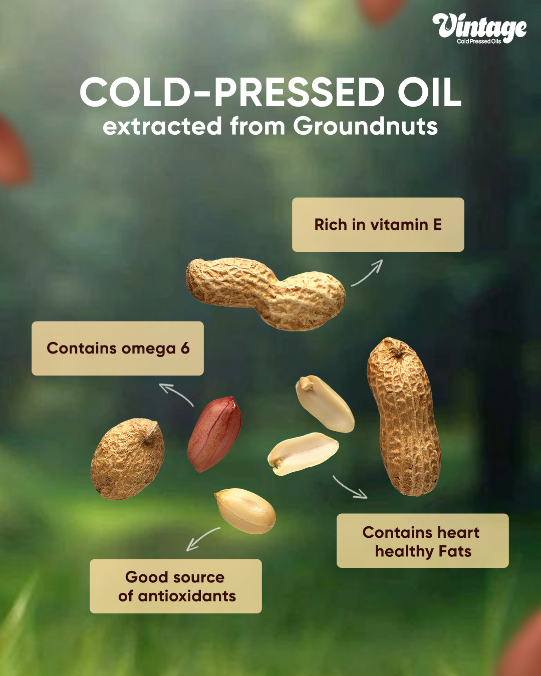 groundnut cold pressed oil benefits