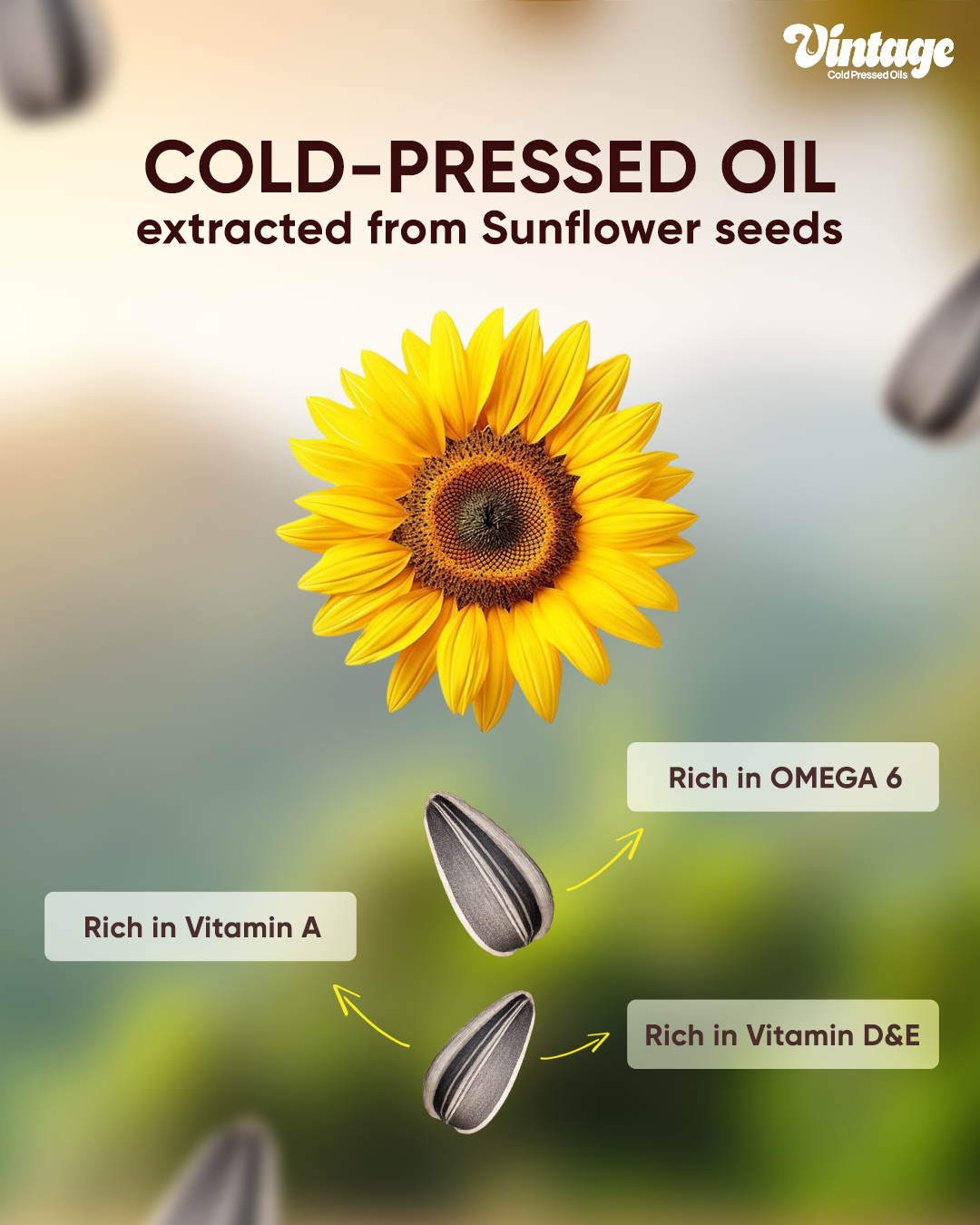 sunflower cold pressed oil benefits